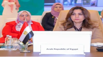 تخصيص 3 مليارات جنيه.. وزيرة التنمية المحلية تعلن خطة تطوير المحافظات الجديدة